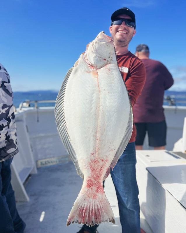 Epic Live Bait Halibut/Striped Bass