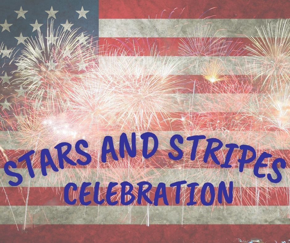 Blue Whale And Peach Modern Fireworks Display Instagram Post.jpg