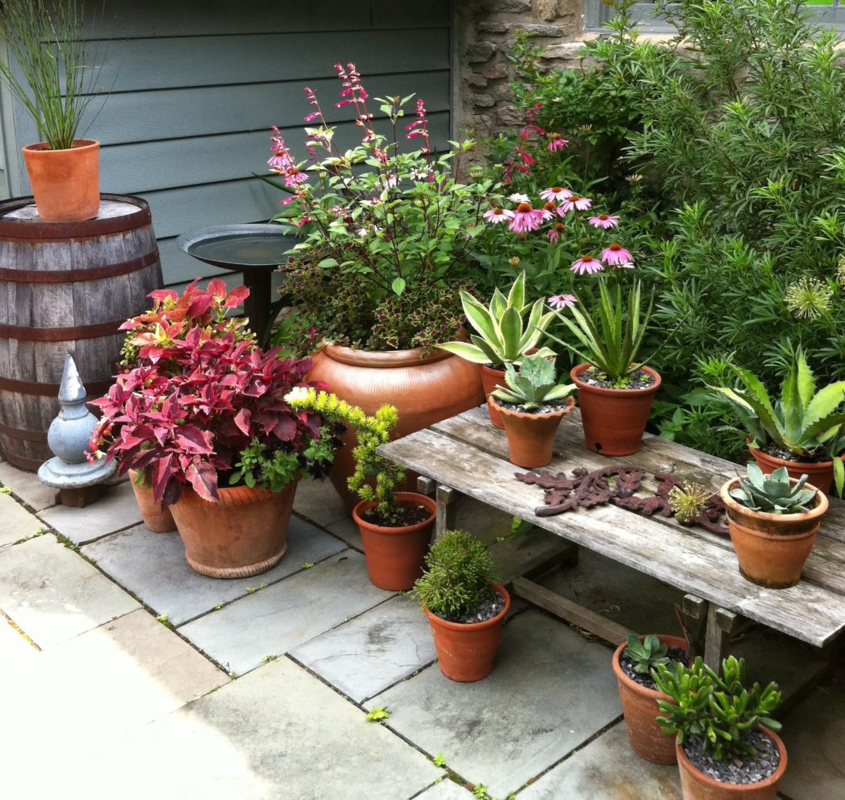 Potted houseplants outdoors for the summer.