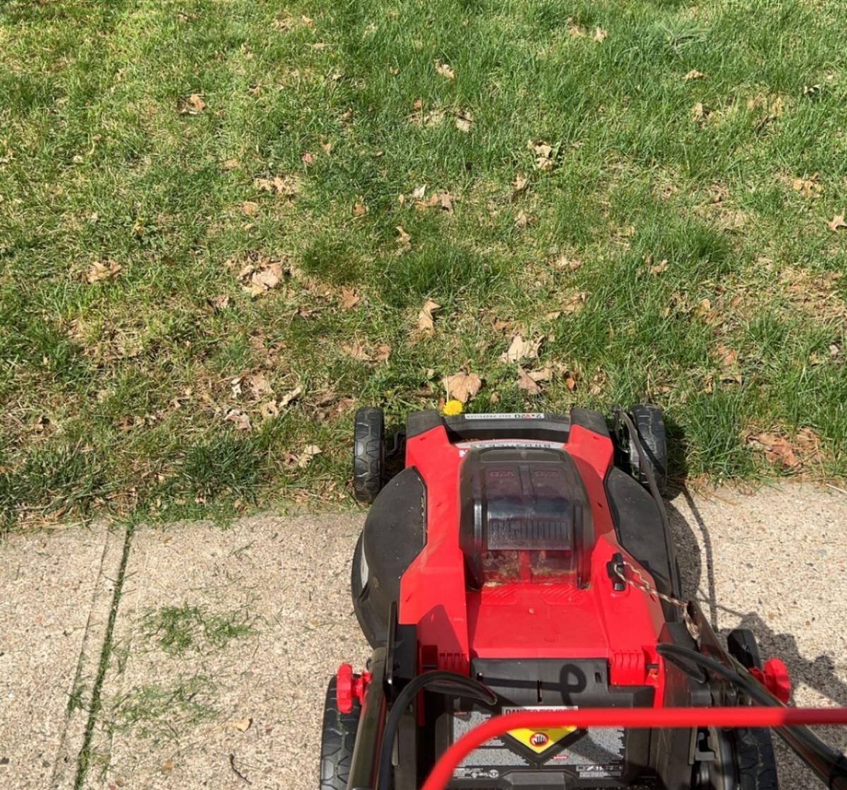 Lawn mower in the lawn.