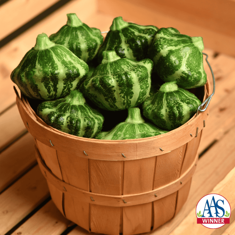 A basket full of small, green striped squash.