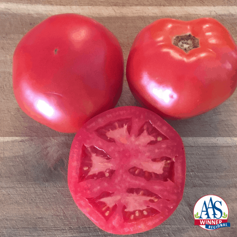 Bright red tomatoes.