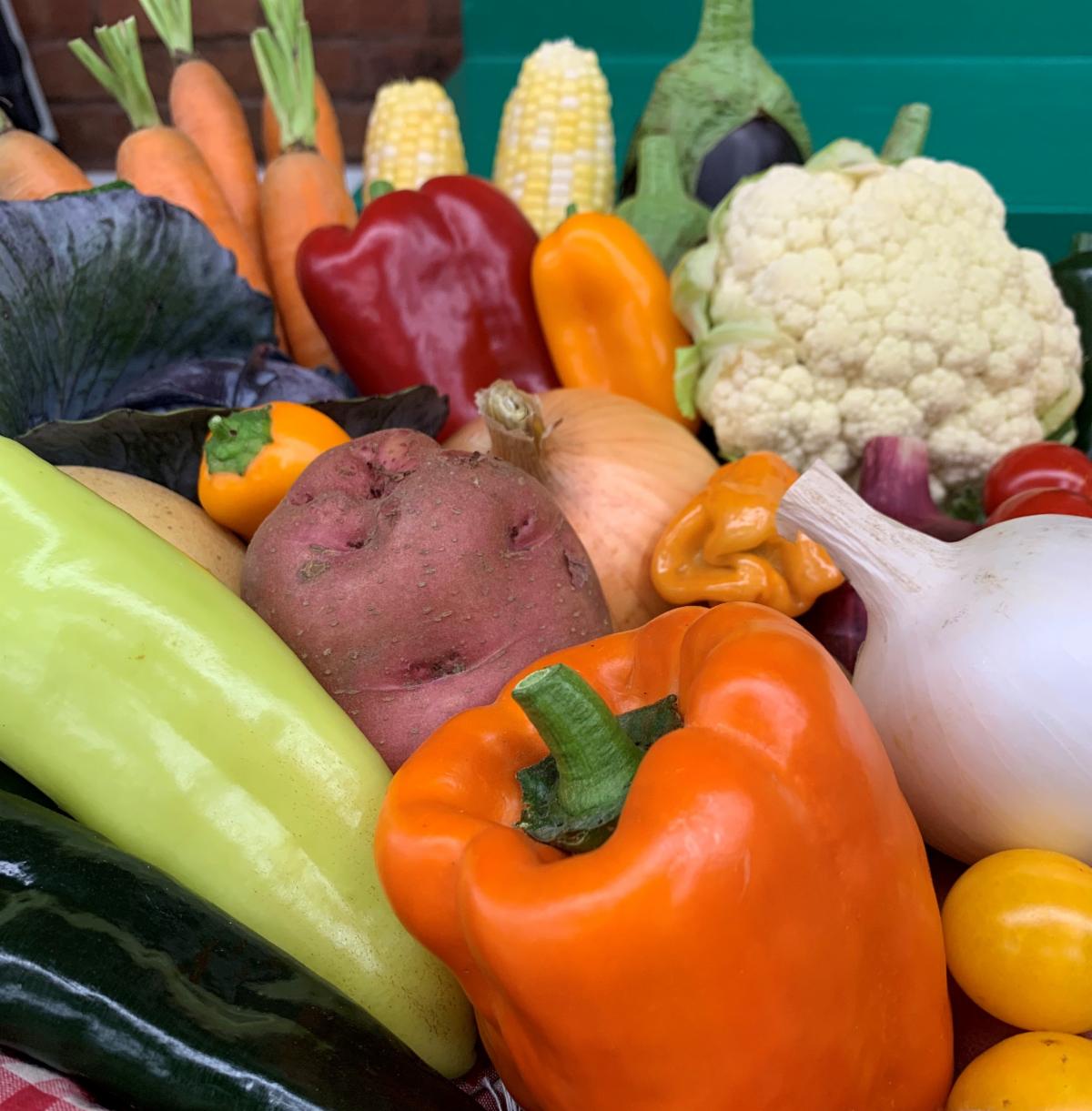 Variety of colorful vegetables.