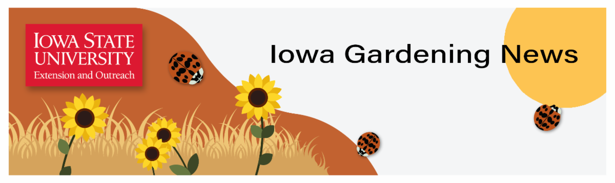 Iowa Gardening Newsletter fall banner. There are illustrated sunflowers and ladybugs with the Iowa State University Extension and Outreach logo.