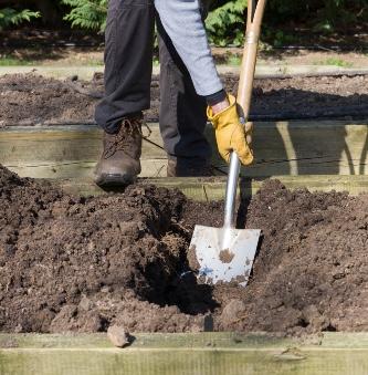 A gardener shoveling compost.