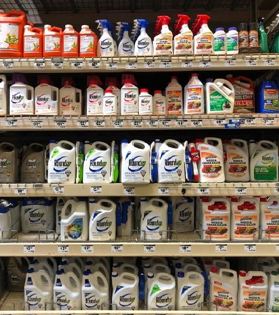 Roundup products on store shelf.