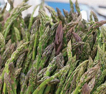 A bunch of asparagus.