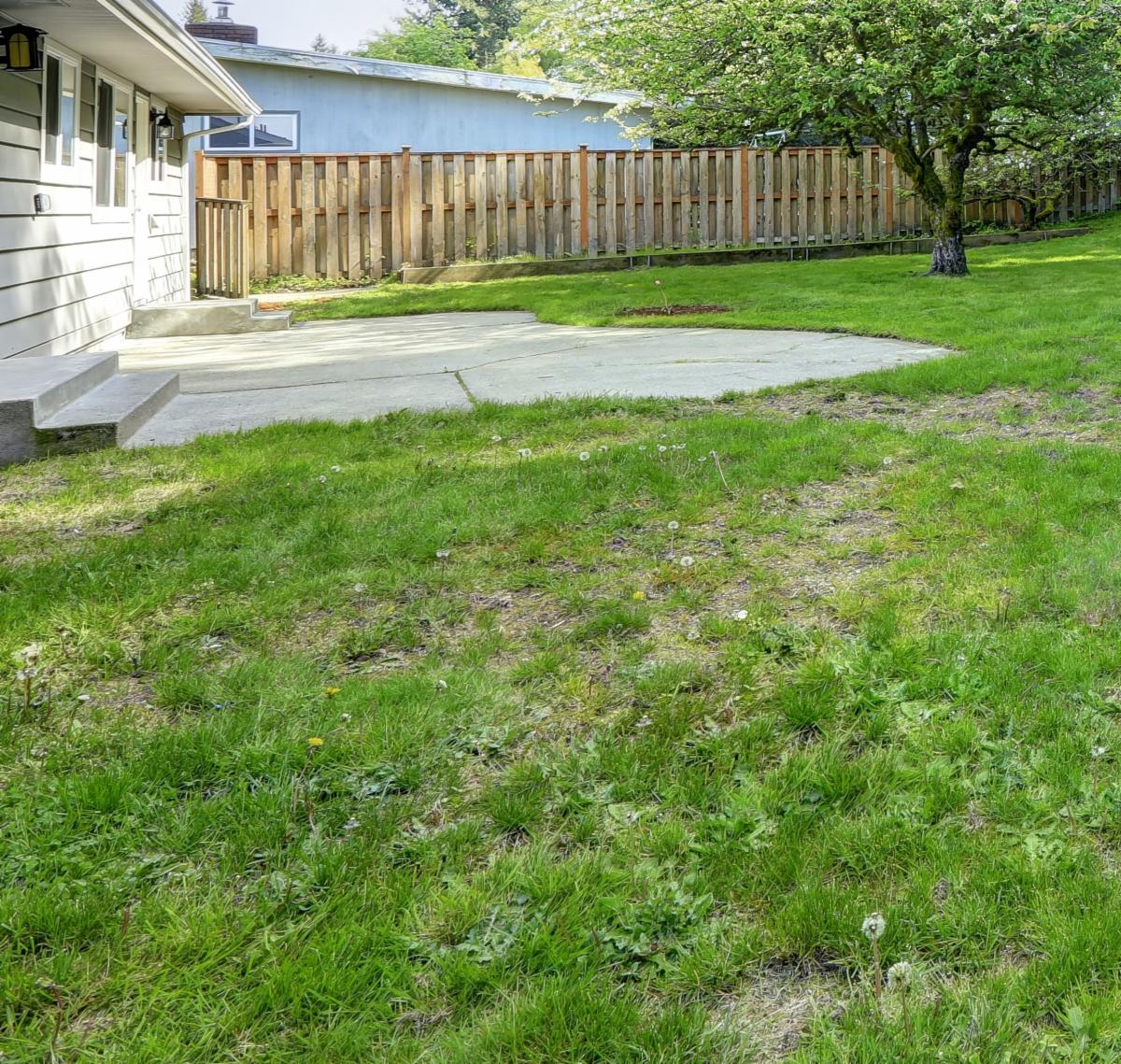 Patchy lawn.