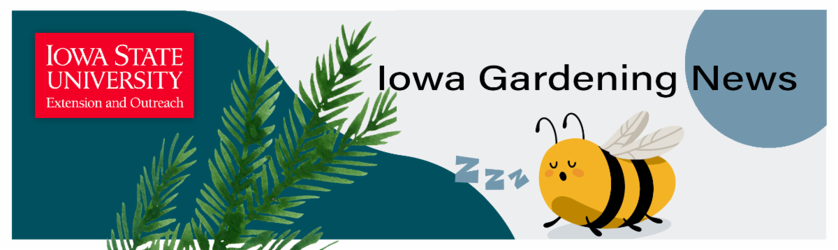 Iowa Gardening News winter banner with an illustrated conifer branch and sleeping bee with the Iowa State University Extension and Outreach logo.