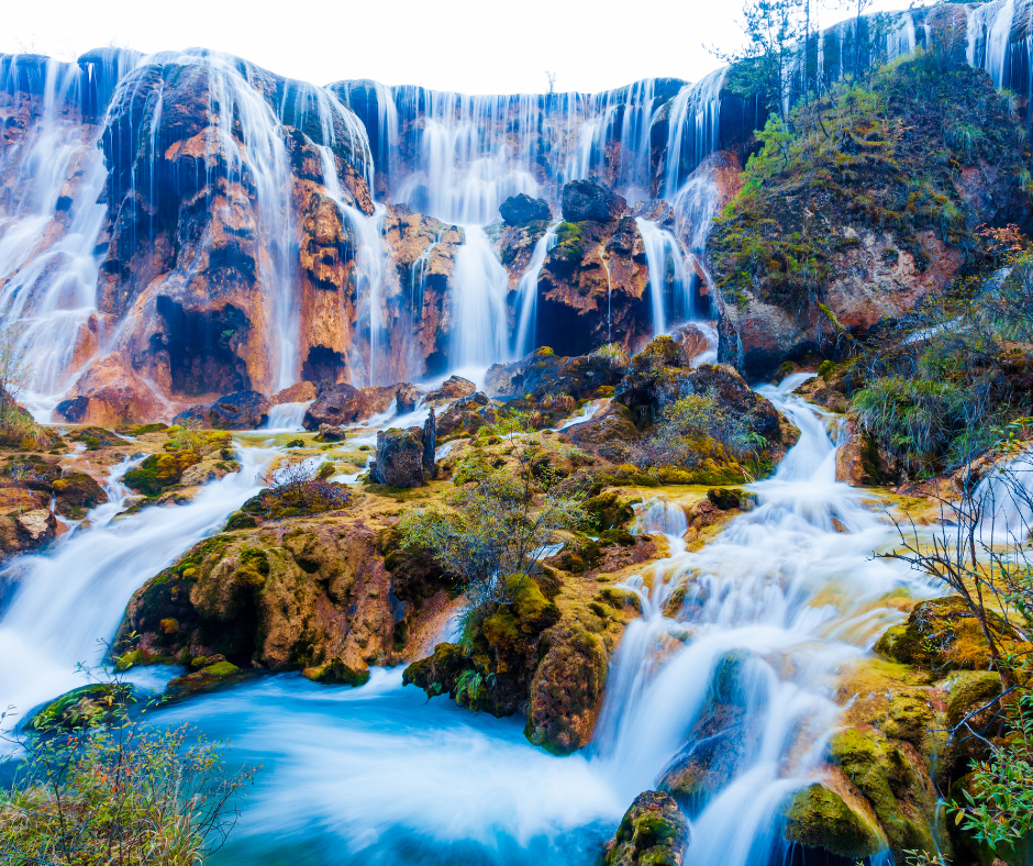 Relieve Poverty & Restore Nature - Purpose on the Planet