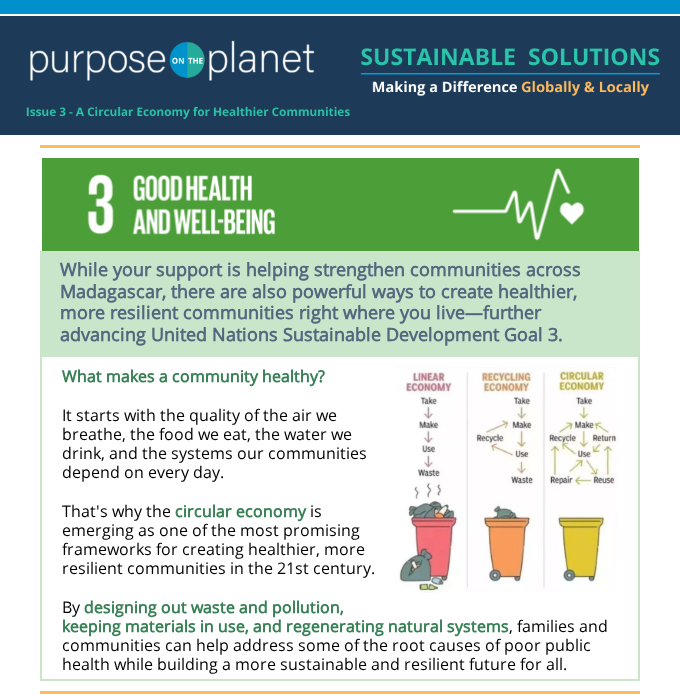 Relieve Poverty, Restore Nature, Remove Carbon, Reduce Emissions - Purpose on the Planet