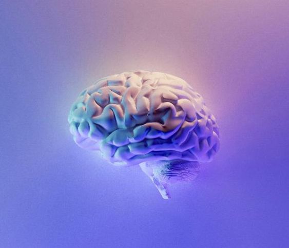 Picture of a brain with a multi-colored background