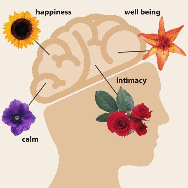 AboutFlowers_HealthBenefits_600.jpg