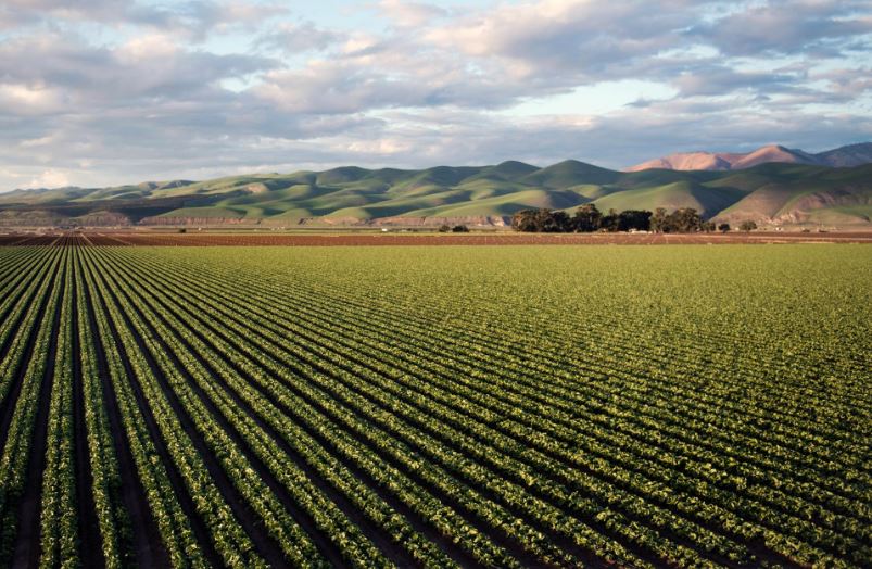 Farm fields with sky and mountains