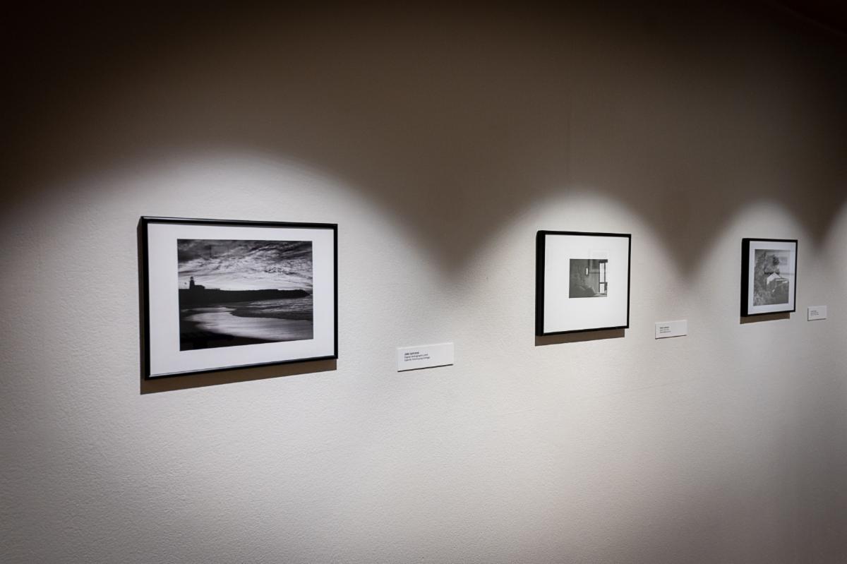 2022 Summer Fall Cabrillo ArtPhoto