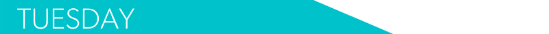 BANNER ARROW