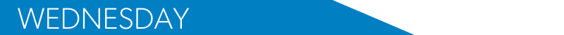BANNER ARROW