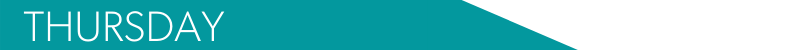 BANNER ARROW