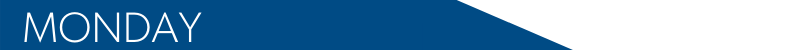 BANNER ARROW