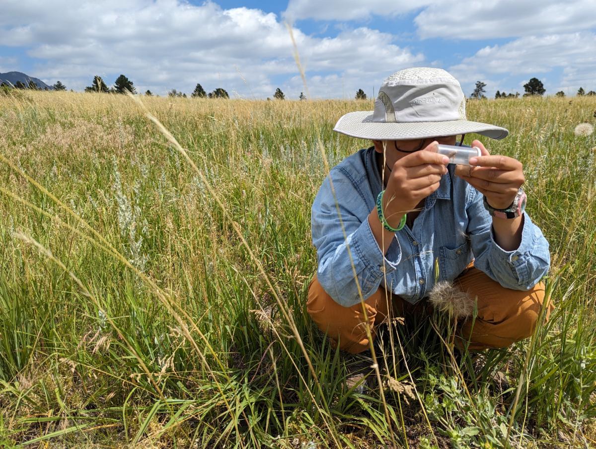 A person wearing a hat and hiking clothes examines a vial with a sample inside in a field of tall grass