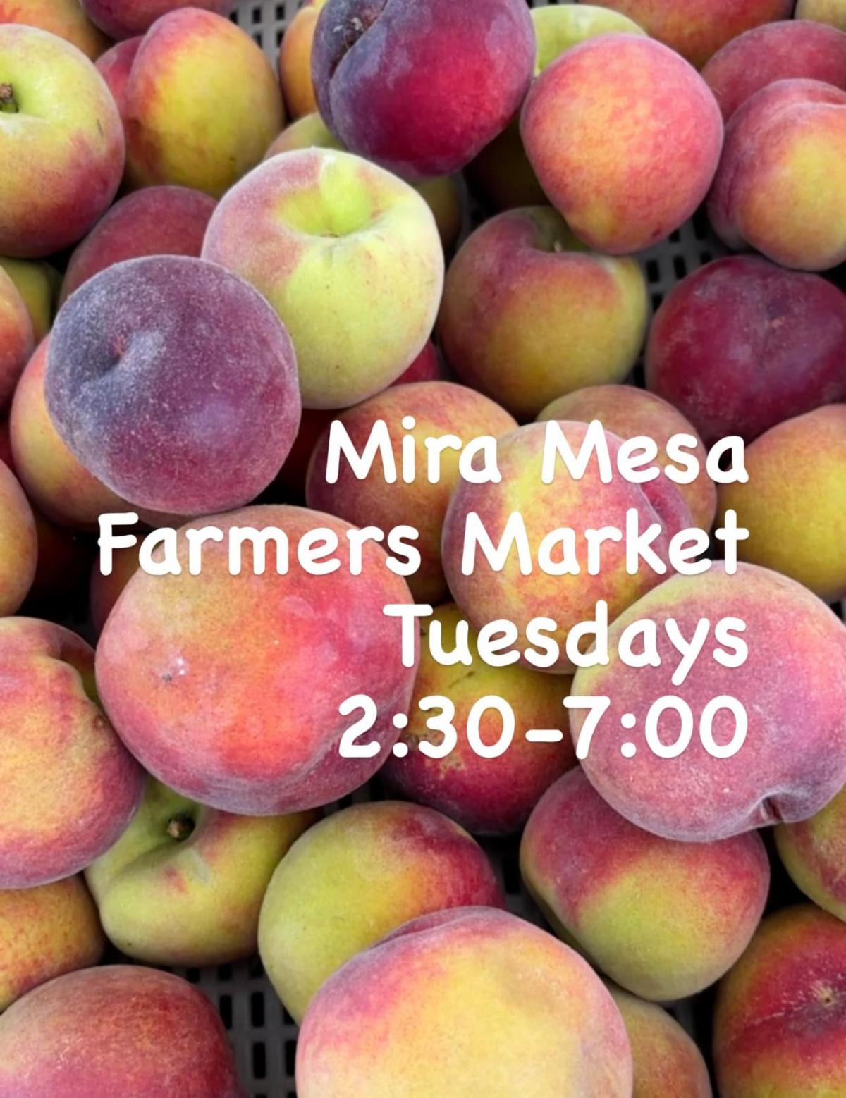 Events in Mira Mesa June 14June 20