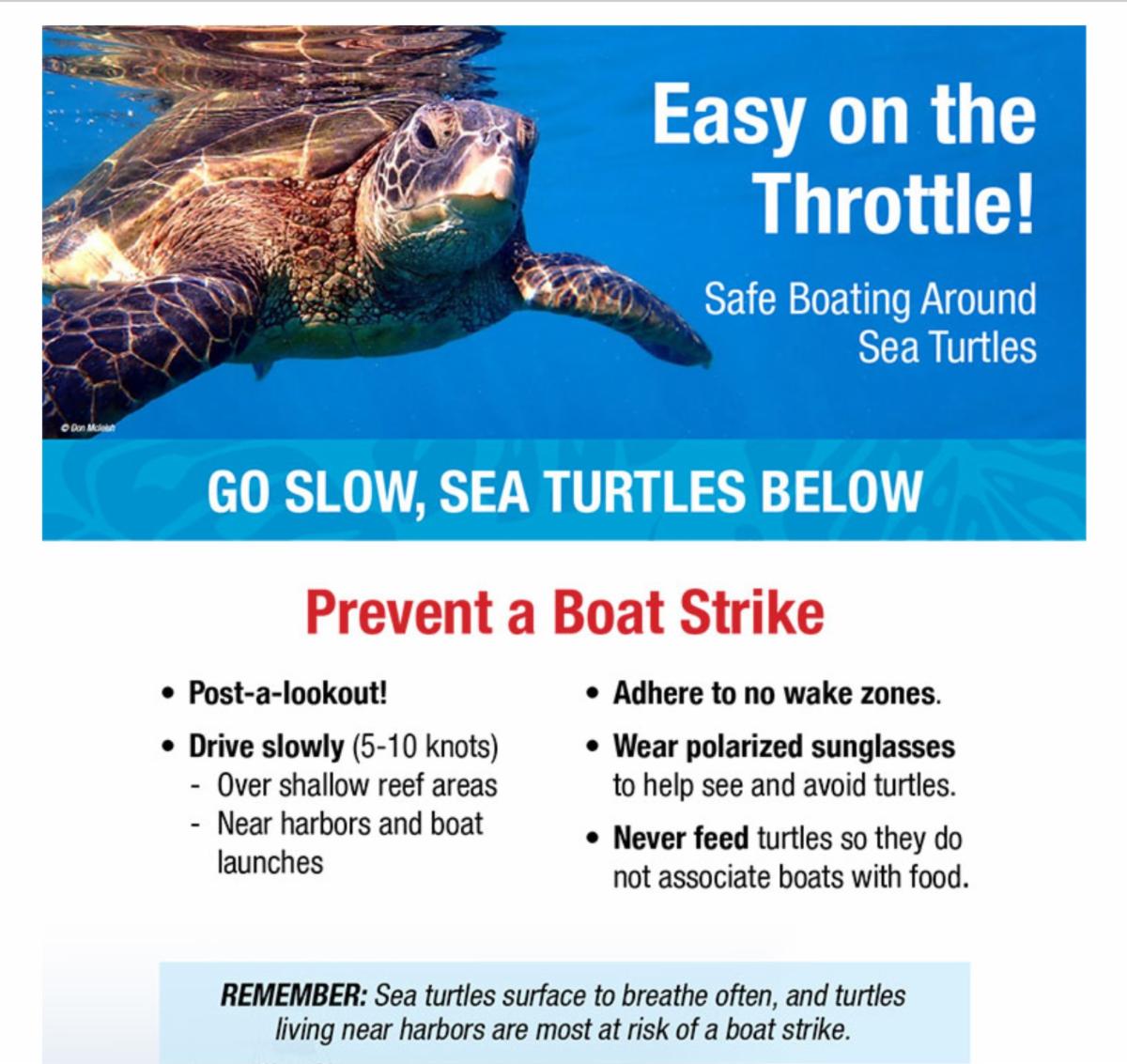 Outreach poster developed by NOAA Fisheries and the Hawai'i Division of Boating and Ocean Recreation