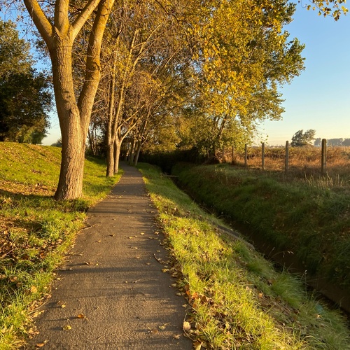 Srjc Programs Reminder: October 2026 ISP Newsletter