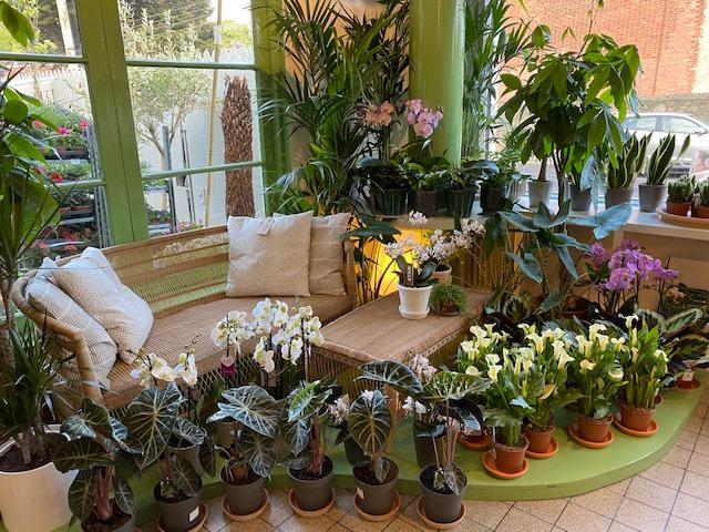 Anthea_s garden shop_2.jpg