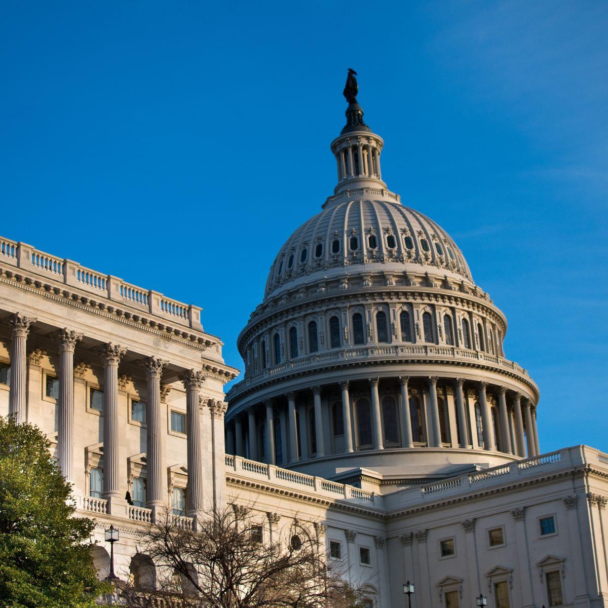 Federal Government