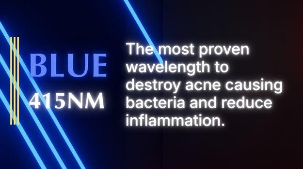 Flex MD Blue LED