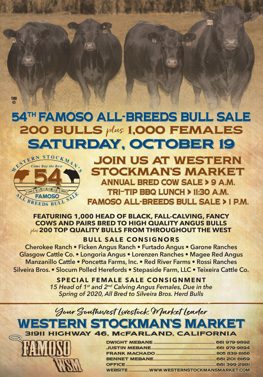 Western Stockman’s Market Famoso Bull & Female Sale 1019