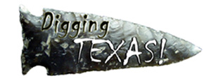 Dig TX Logo new