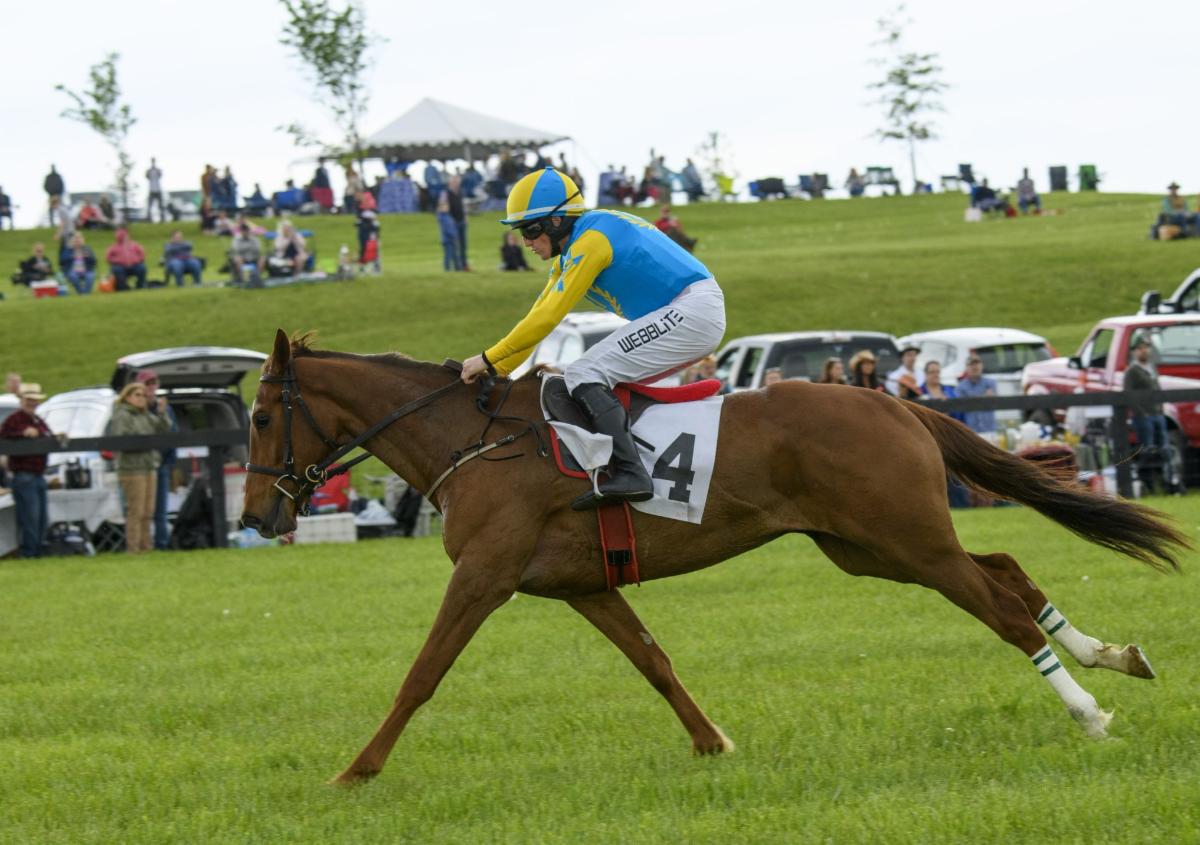 Point to Point recaps - Loudoun Hunt