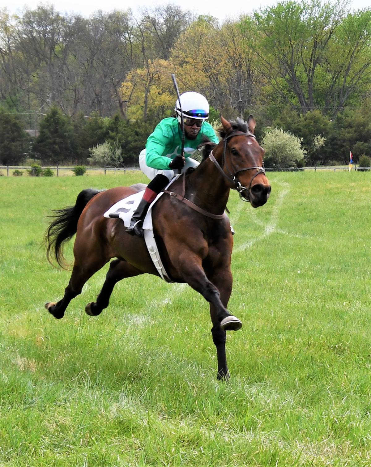 Point to Point recaps - Blue Ridge Hunt and Mount Harmon Wicomico Hunt