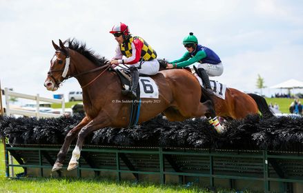Point to Point recaps - Loudoun Hunt