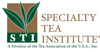 STI Logo