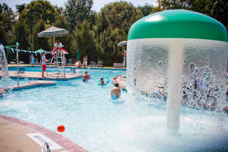 Avenel Pool News and Swim Team