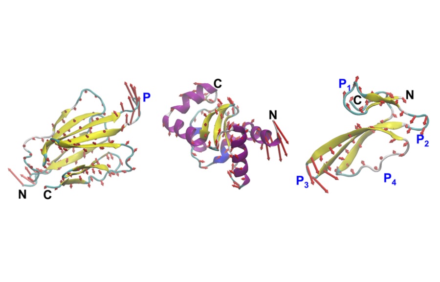 Three ribbon diagrams of proteins in a 3D format, each in different colors.