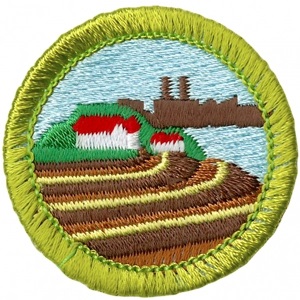 Merit badge.jpg