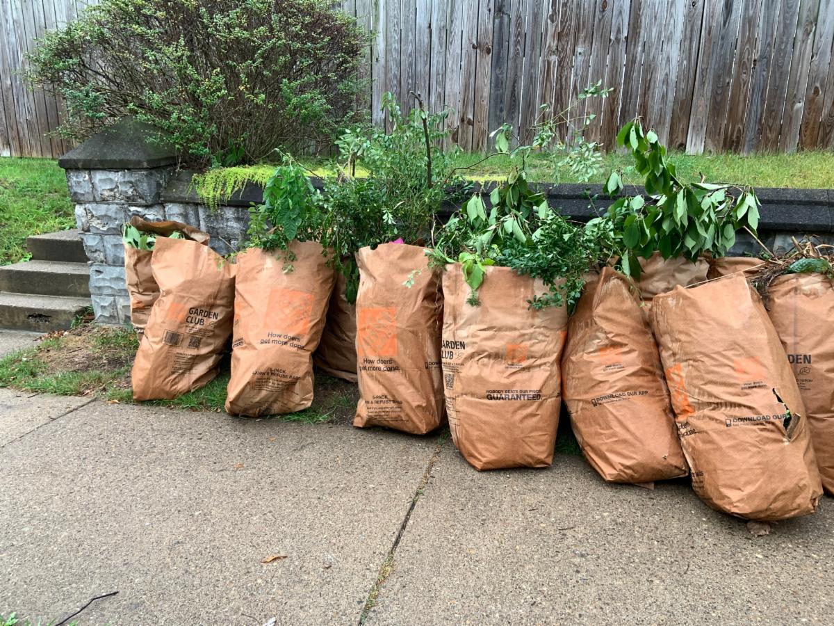 yard clippings in bags.jpg
