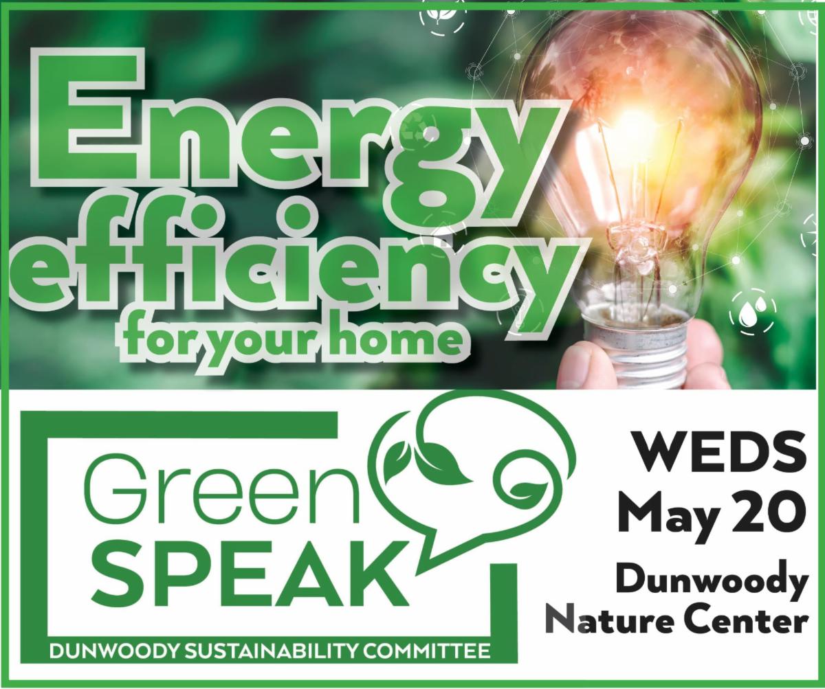 Green Speak meeting on Energy Efficiency wth light bulb