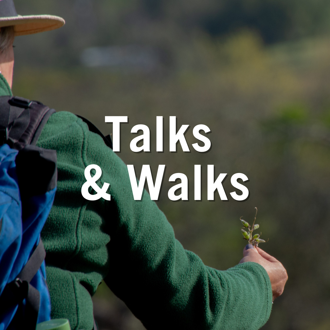 Talks and walks