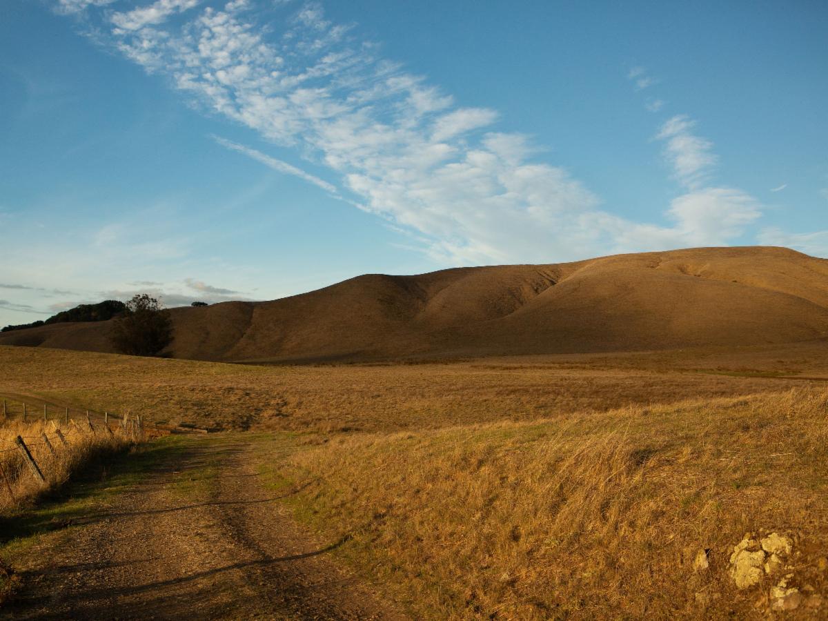 Favorite trails to try this fall