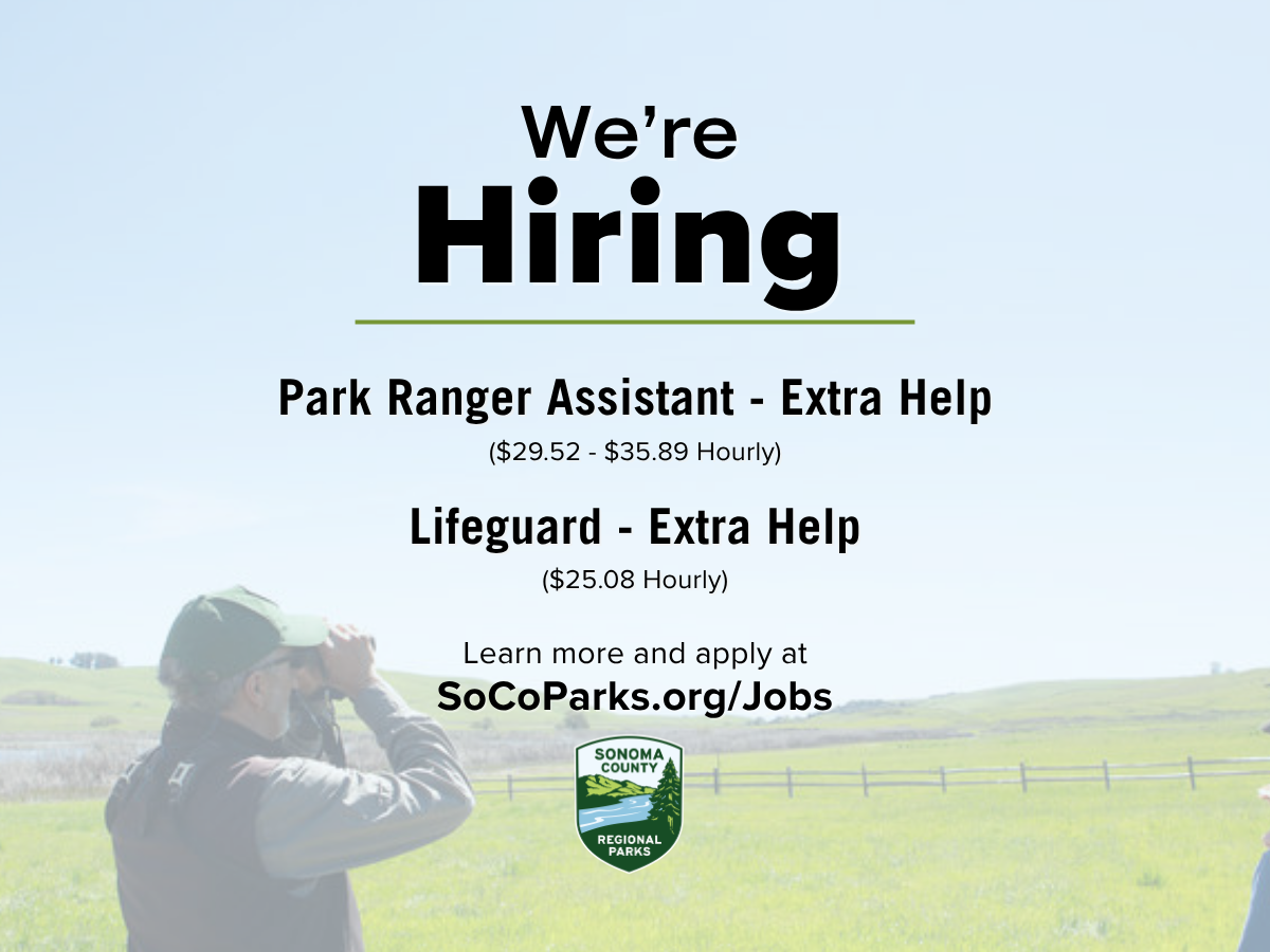 Work in the parks this summer