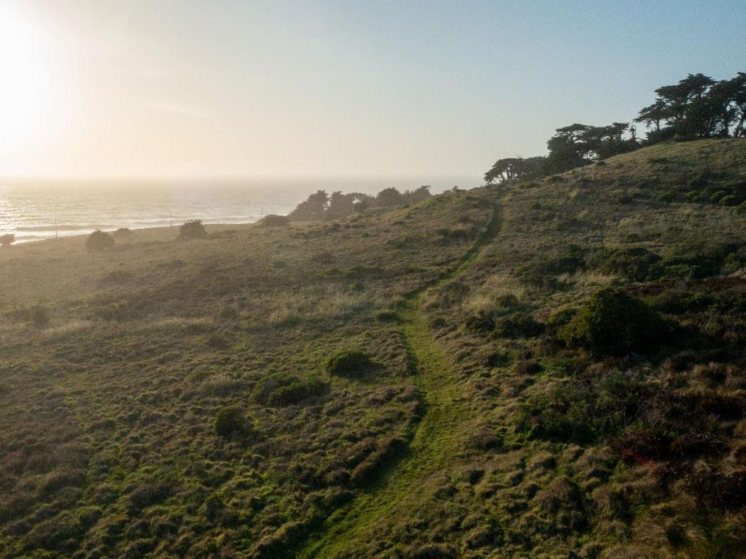 A trail runs through coastal prairie and trees with sun setting over ocean in background