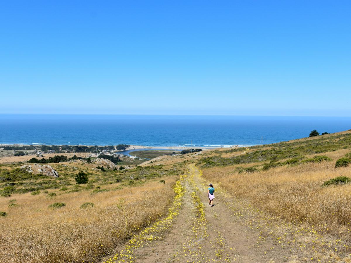 Chanslor Ranch