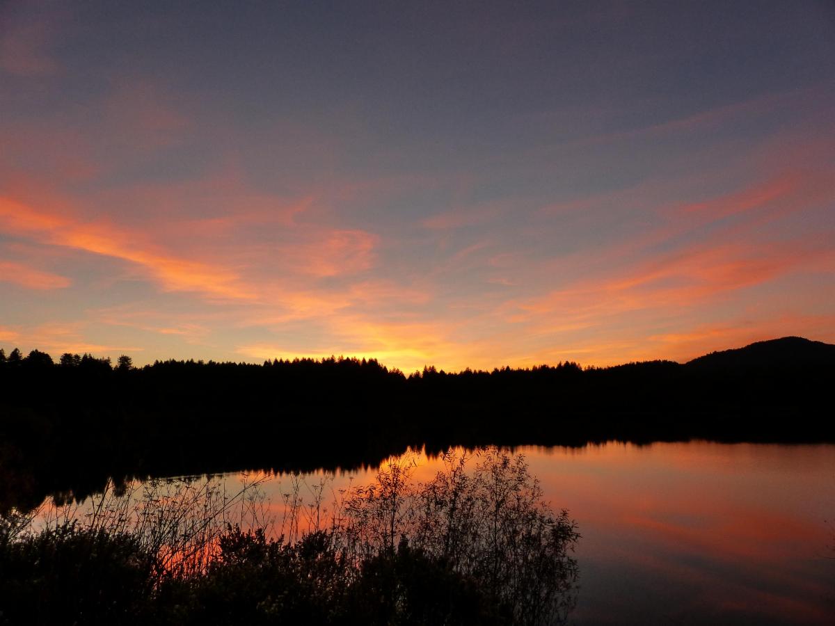 Winter solstice celebration