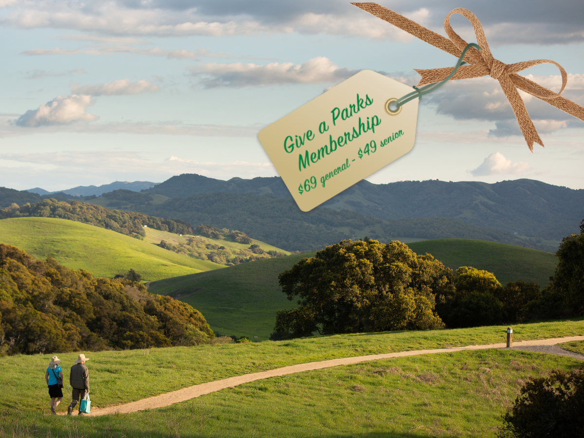 Give the gift of parks this holiday season