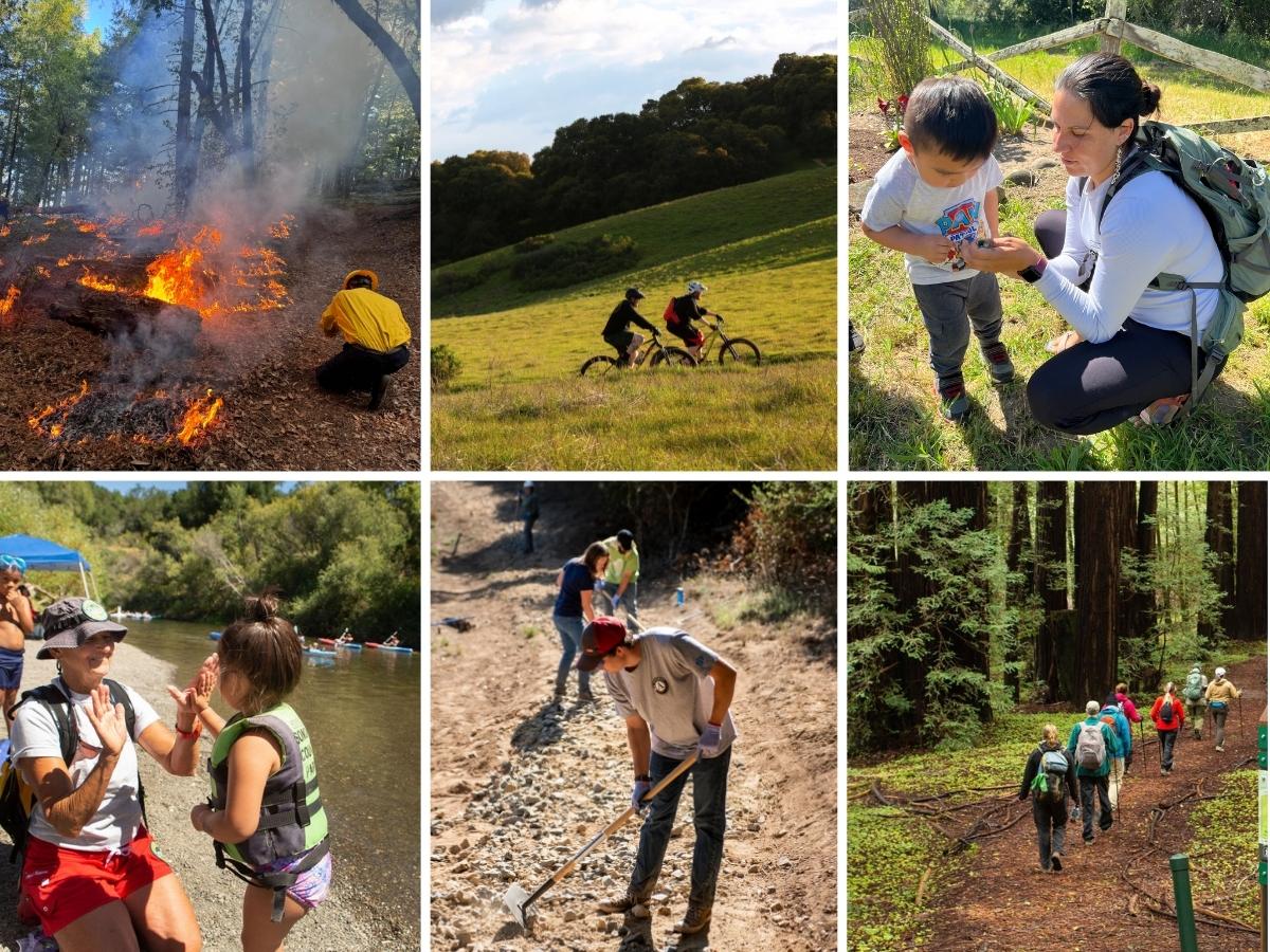 Spring parks survey results