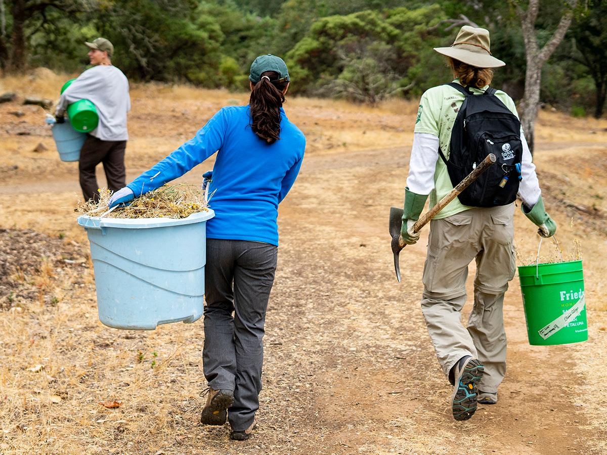 Give back this Earth Day